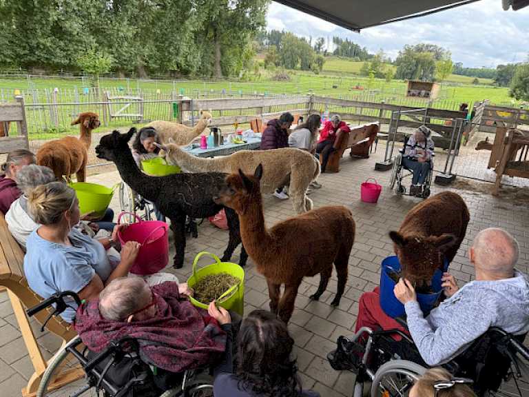 Besucher füttern Tiere in geschlossenen Gruppen