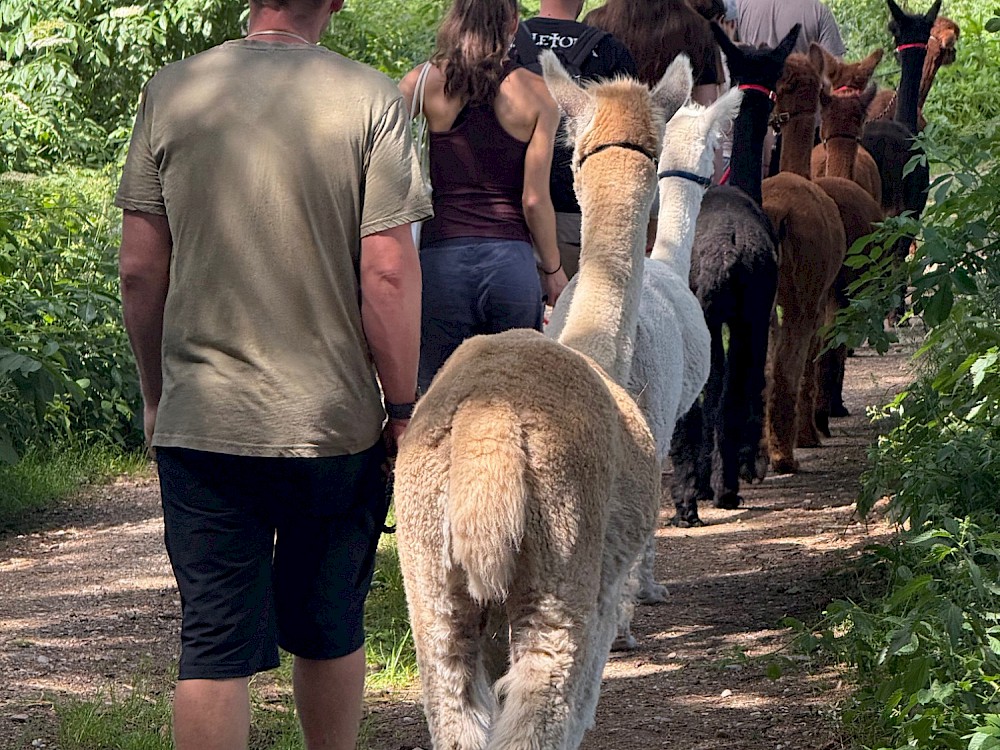 wandern_1-1.jpg
