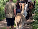wandern_1-1.jpg
